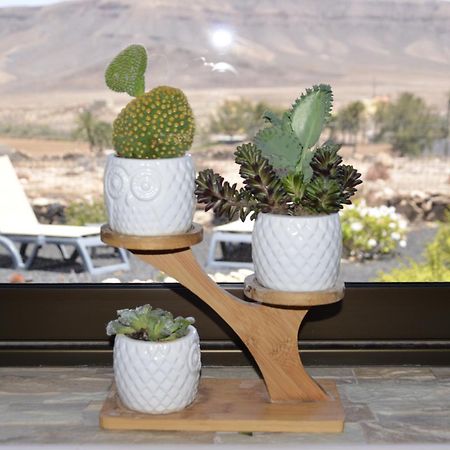 Casa Vista Oasis En Fuerteventura Villa La Guirra Ngoại thất bức ảnh