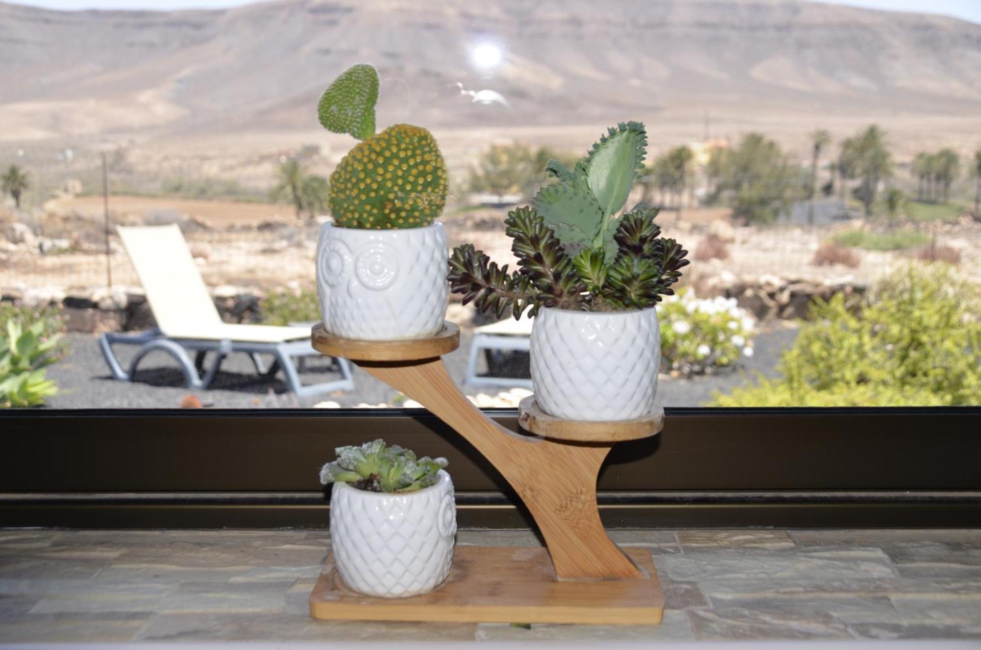 Casa Vista Oasis En Fuerteventura Villa La Guirra Ngoại thất bức ảnh