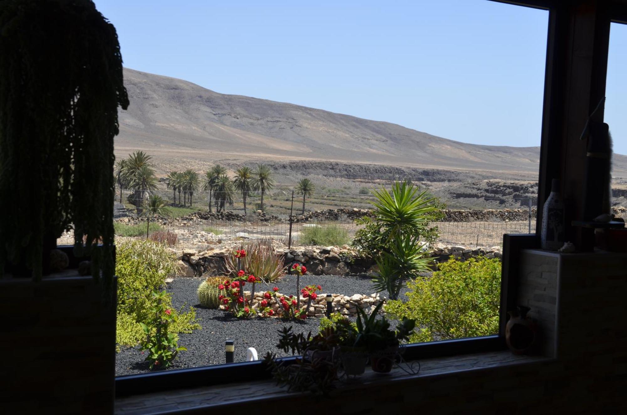 Casa Vista Oasis En Fuerteventura Villa La Guirra Ngoại thất bức ảnh